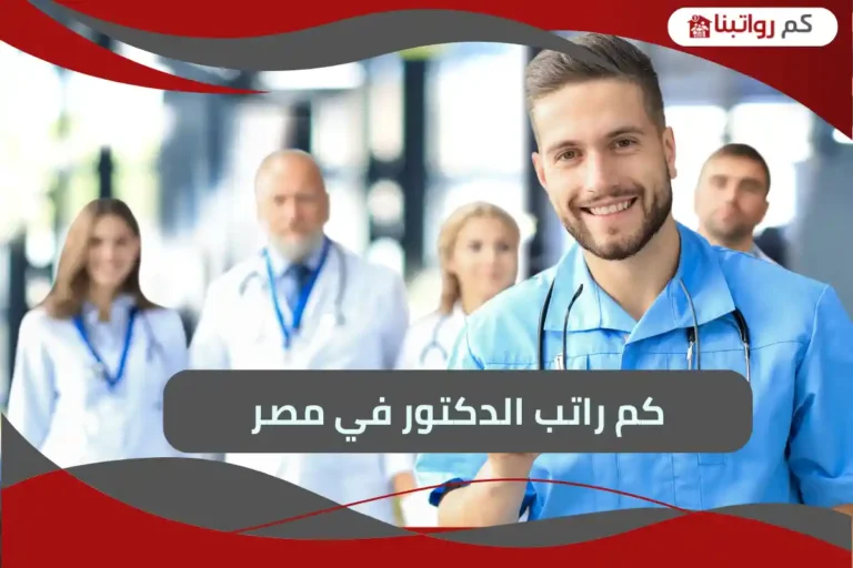 راتب الدكتور في مصر