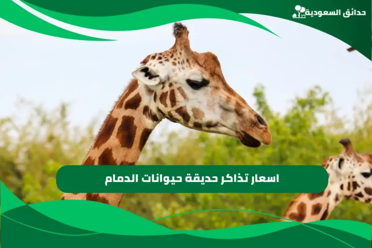 حديقة حيوانات الدمام
