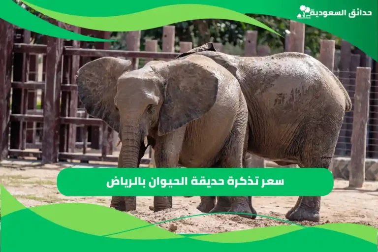 سعر تذكرة حديقة الحيوان بالرياض