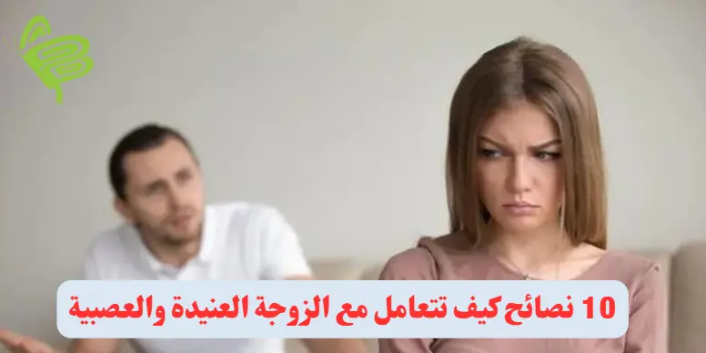 10 نصائح كيف تتعامل مع الزوجة العنيدة والعصبية