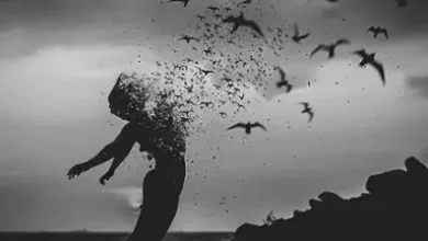 رواية قلوب حائرة لروز أمين الجزء الأول كامل